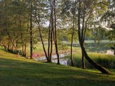 Lazdijų rajono savivaldybėje, Veisiejų - nuotraukos Nr. 3