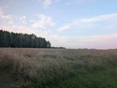 Lazdijų rajono savivaldybėje, Veisiejų - nuotraukos Nr. 24