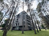 Namai Šalia Nemuno, apsupti gamtos ramybės, - nuotraukos Nr. 20