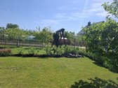 Parduodamas jaukus ir labai tvarkingas sodo - nuotraukos Nr. 8