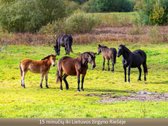 Erdvus ir šviesus namas gamtos apsuptyje – - nuotraukos Nr. 39