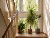 Parduodamas jaukus ir šviesus 2 kambarių - nuotraukos Nr. 8