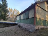 Vienkiemis Mergežerio miške prie Derežnyčios - nuotraukos Nr. 4