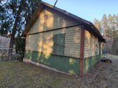 Vienkiemis Mergežerio miške prie Derežnyčios - nuotraukos Nr. 3