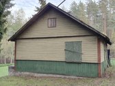 Vienkiemis Mergežerio miške prie Derežnyčios - nuotraukos Nr. 5