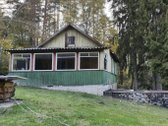 Vienkiemis Mergežerio miške prie Derežnyčios - nuotraukos Nr. 2