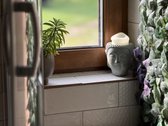 Jaukus namas Vilniuje, miško apsuptyje – - nuotraukos Nr. 20