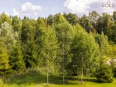 Erdvus ir šviesus namas gamtos apsuptyje – - nuotraukos Nr. 31