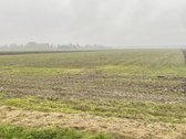 2,3636 Ha Gyvenamosios Paskirties Sklypas - nuotraukos Nr. 2