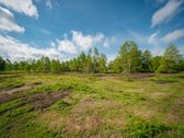 Liko tik 2 sklypukai: - nuotraukos Nr. 13
