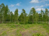 Liko tik 2 sklypukai: - nuotraukos Nr. 14