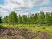 Liko tik 2 sklypukai: - nuotraukos Nr. 16