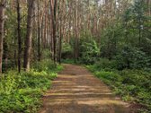 Parduodamas šviesus 4 kambarių butas su - nuotraukos Nr. 19