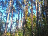 Parduodamas šviesus 4 kambarių butas su - nuotraukos Nr. 21