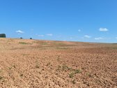 Parduodama Sodyba Anykščių Raj.kurklių Sen - nuotraukos Nr. 16