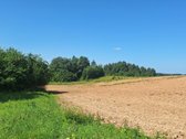 Parduodama Sodyba Anykščių Raj.kurklių Sen - nuotraukos Nr. 35