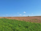 Parduodama Sodyba Anykščių Raj.kurklių Sen - nuotraukos Nr. 37
