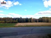 Parduodamas 4,3000 ha žemės sklypas Šiaulių - nuotraukos Nr. 9