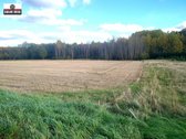 Parduodamas 4,3000 ha žemės sklypas Šiaulių - nuotraukos Nr. 13