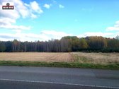 Parduodamas 4,3000 ha žemės sklypas Šiaulių - nuotraukos Nr. 11