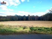 Parduodamas 4,3000 ha žemės sklypas Šiaulių - nuotraukos Nr. 10