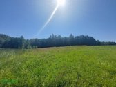 Parduodamas sklypas vaizdingoje vietoje ant - nuotraukos Nr. 13