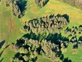 Siūlome įsigyti sodybą viename gražiausių - nuotraukos Nr. 9