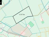 12ha Žemės Ūkio Paskirties Sklypas Kupiškio - nuotraukos Nr. 3