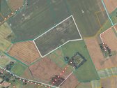 12ha Žemės Ūkio Paskirties Sklypas Kupiškio - nuotraukos Nr. 4