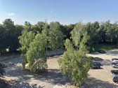 Parduodu 2 kambarių studiją Eišiškių pl. 34, - nuotraukos Nr. 9