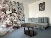 Parduodamas Tvarkingas Dviejų Kambarių Butas - nuotraukos Nr. 4