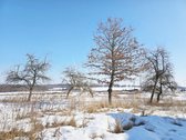 Mietkalnio k., Kelmės r. parduodama jauki - nuotraukos Nr. 9