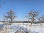 Mietkalnio k., Kelmės r. parduodama jauki - nuotraukos Nr. 10