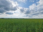Ukmergės Rajone, Strategiškai Patogioje - nuotraukos Nr. 18