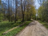 Parduodamas 1,08 Ha Sklypas Su Registruotu - nuotraukos Nr. 5