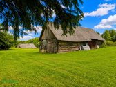 Parduodamas Vienkiemis Šalia Miško Degnsio K. - nuotraukos Nr. 11