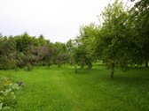 Parduodamas namas su 46 a sklypu Kretingos - nuotraukos Nr. 9