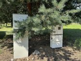 Parduodamas 29,9 Arų Namų Valdos Sklypas - nuotraukos Nr. 8