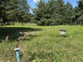 Parduodamas 29,9 Arų Namų Valdos Sklypas - nuotraukos Nr. 9