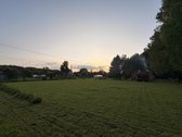Parduodamas jaukus sodo sklypas su - nuotraukos Nr. 8