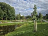 Parduodamas vienas geriausių sklypų Alytuje - nuotraukos Nr. 3