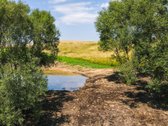 Parduodamas sutvarkytas sklypas prie upelio - nuotraukos Nr. 2
