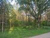 Namų valda prie Baltųjų Lakajų ežero ir - nuotraukos Nr. 5