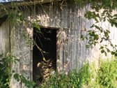 Raseinių rajone, Žibulių kaime, Dvaro gatvėje - nuotraukos Nr. 15