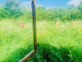 Parduodamas unikalus 1,67 ha žemės sklypas su - nuotraukos Nr. 8