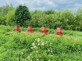 Parduodamas unikalus 1,67 ha žemės sklypas su - nuotraukos Nr. 10