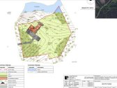 Vienkiemis Mergežerio miške prie Derežnyčios - nuotraukos Nr. 19