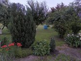 Parduodama jauki ir prižiūrėta sodyba - nuotraukos Nr. 18