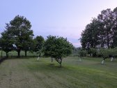 Parduodama jauki ir prižiūrėta sodyba - nuotraukos Nr. 19