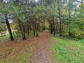 Parduodamas butas ,saldainis, Išskirtinėje - nuotraukos Nr. 45